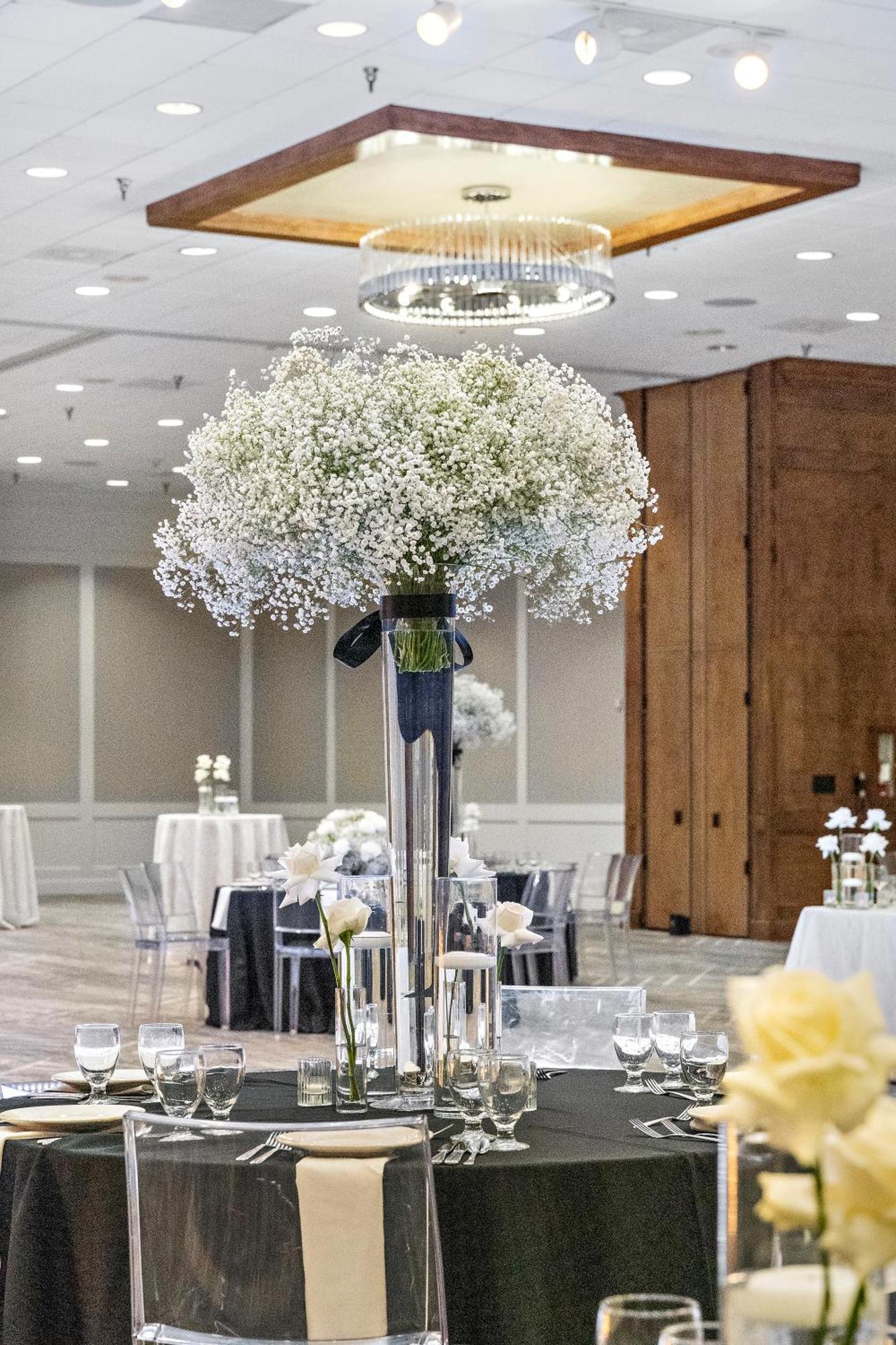 מלון Hilton College Station & Conference Center מראה חיצוני תמונה